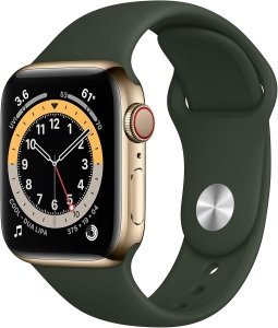 Apple Watch Series 6 [GPS + Cellular, inkl. Sportarmband zyperngrün] 40mm Edelstahlgehäuse gold – Refurbished – Produktansicht