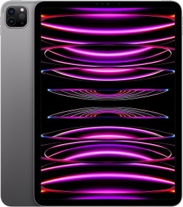 Apple iPad Pro (2022) 2TB [11" WiFi only] spacegrau – Refurbished – Produktansicht